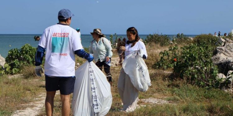 Sanean Playa Cerditos como parte del programa de limpieza costera