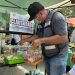 Rescatan cocodrilo y fauna exótica en tianguis de la Región 100 en Cancún