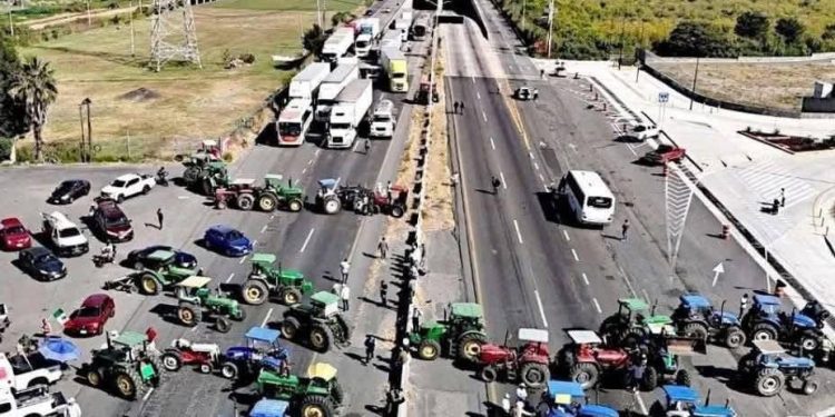 Gobierno federal llama al diálogo tras bloqueos de transportistas y productores