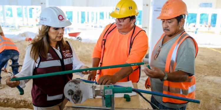 Quintana Roo reforzará el sector primario con la contratación de 42 profesionistas