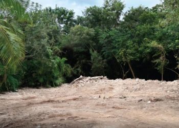 Dan luz verde a “Perfect Day” en Mahahual tras fallo judicial; proyecto de Royal Caribbean avanza