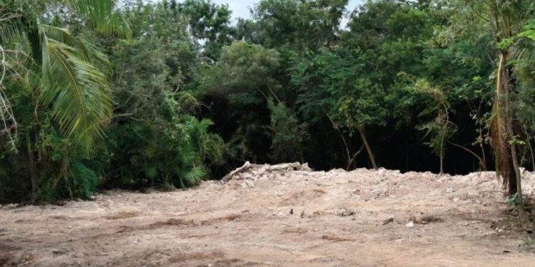 Dan luz verde a “Perfect Day” en Mahahual tras fallo judicial; proyecto de Royal Caribbean avanza