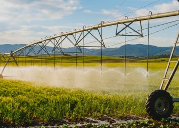 Amplían plazo para apoyo eléctrico al campo: productores tienen hasta el 29 de mayo