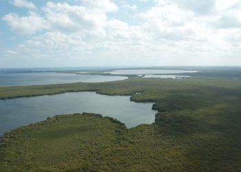 Supervisa Semarnat compensación ambiental en sistema lagunar Nichupté
