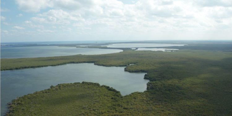 Supervisa Semarnat compensación ambiental en sistema lagunar Nichupté