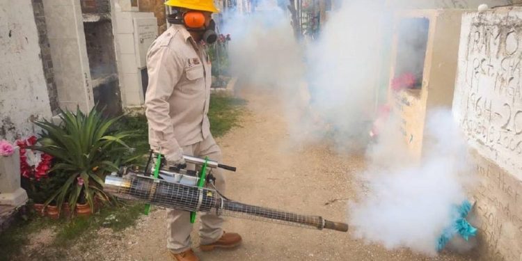 Tabasco lidera incidencia nacional de dengue; refuerzan acciones sanitarias