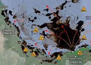 Derrame en el Golfo de México ya impacta 933 km de costa; ONG exige acciones urgentes