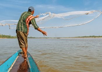 Supera expectativas venta de ostión en festival de Centla; destacan impulso de “Pescando Vida”