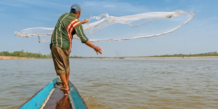 Supera expectativas venta de ostión en festival de Centla; destacan impulso de “Pescando Vida”
