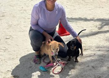 Diversión de cuatro patas: realizan encuentro canino en Playa Bonita