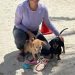 Diversión de cuatro patas: realizan encuentro canino en Playa Bonita