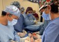Donación multiorgánica en Yucatán permite salvar y mejorar la vida de pacientes en espera de trasplante