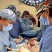 Donación multiorgánica en Yucatán permite salvar y mejorar la vida de pacientes en espera de trasplante