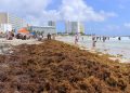 Urgen más barcazas para contener el sargazo en Playa del Carmen