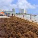 Urgen más barcazas para contener el sargazo en Playa del Carmen