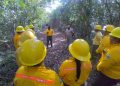 Combaten tres incendios forestales en dos municipios de Q. Roo
