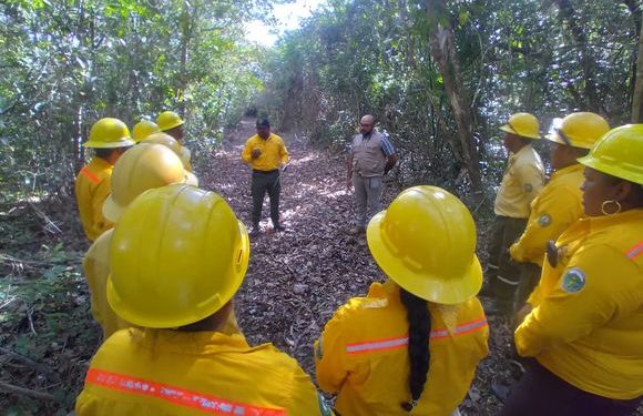 Combaten tres incendios forestales en dos municipios de Q. Roo