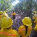 Combaten tres incendios forestales en dos municipios de Q. Roo