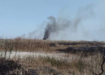 Carmen y Champotón concentran mayor número de puntos de calor en Campeche
