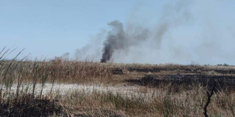 Carmen y Champotón concentran mayor número de puntos de calor en Campeche