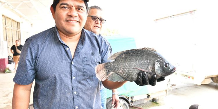 Reabrirán punto de venta de “Pescando Vida” en la Central de Abasto de Villahermosa