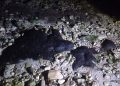 Detectan manchas de hidrocarburo cerca de zona tortuguera en Campeche