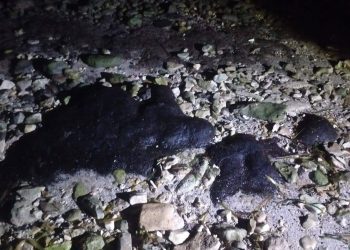 Detectan manchas de hidrocarburo cerca de zona tortuguera en Campeche