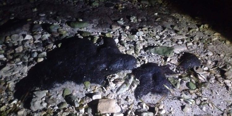 Detectan manchas de hidrocarburo cerca de zona tortuguera en Campeche