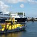 Crucero afectado por brote de hantavirus llega a Rotterdam para desinfección y cuarentena