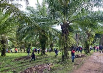 Masacre en finca de Honduras deja al menos 19 personas asesinadas