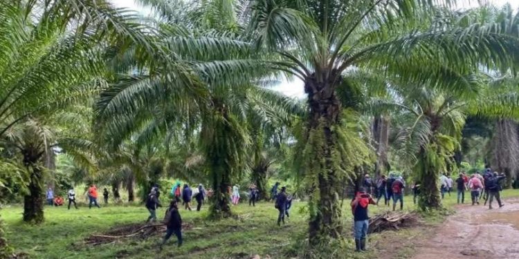 Masacre en finca de Honduras deja al menos 19 personas asesinadas