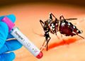 Tabasco lidera incidencia nacional de dengue con 312 casos en lo que va del año