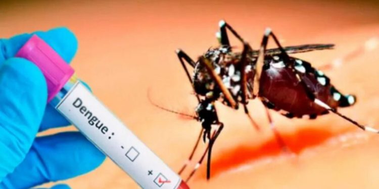 Tabasco lidera incidencia nacional de dengue con 312 casos en lo que va del año