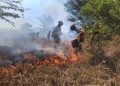 Incendios forestales dejan miles de hectáreas afectadas en Oaxaca durante 2026