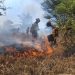 Incendios forestales dejan miles de hectáreas afectadas en Oaxaca durante 2026