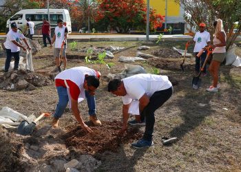 Cancún impulsa programa ambiental para sembrar 11 mil árboles antes de 2027