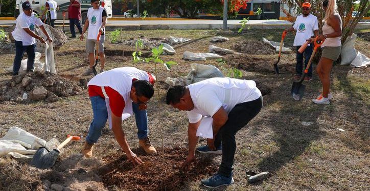 Cancún impulsa programa ambiental para sembrar 11 mil árboles antes de 2027