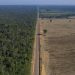 Brasil alcanza mínimos históricos en deforestación de la Mata Atlántica