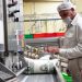 Plan Campeche fortalece al sector lechero con apoyos a productores