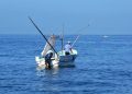 Instituto de Pesca del Estado de Campeche impulsa plan científico y acuícola para rescatar la pesca