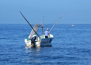 Instituto de Pesca del Estado de Campeche impulsa plan científico y acuícola para rescatar la pesca
