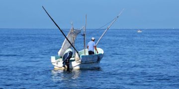 Instituto de Pesca del Estado de Campeche impulsa plan científico y acuícola para rescatar la pesca
