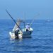 Instituto de Pesca del Estado de Campeche impulsa plan científico y acuícola para rescatar la pesca