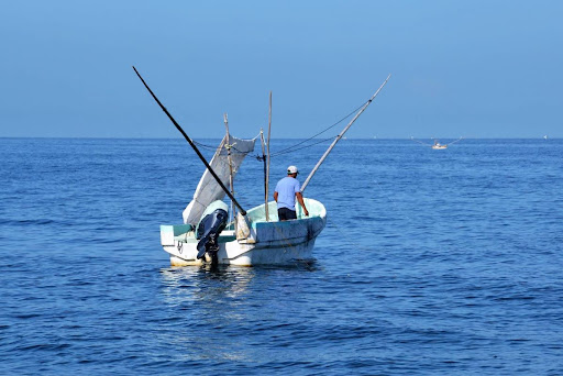 Instituto de Pesca del Estado de Campeche impulsa plan científico y acuícola para rescatar la pesca