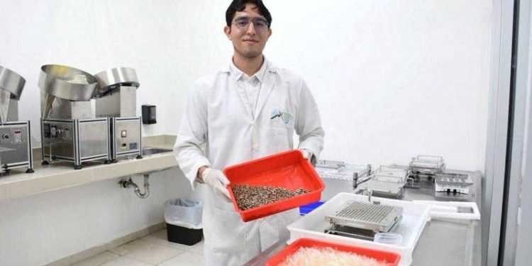Yucatán destaca en estrategia nacional contra el dengue con solo nueve casos registrados