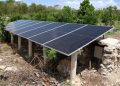 Sistema de riego con paneles solares mejora producción agrícola en Motul