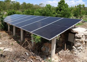 Sistema de riego con paneles solares mejora producción agrícola en Motul