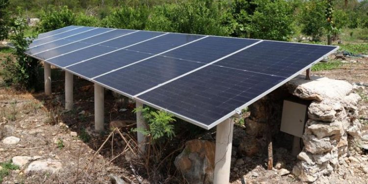 Sistema de riego con paneles solares mejora producción agrícola en Motul