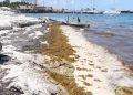 Especialistas alertan por acelerada erosión en playas de Quintana Roo; urgen plan integral para salvar arenales