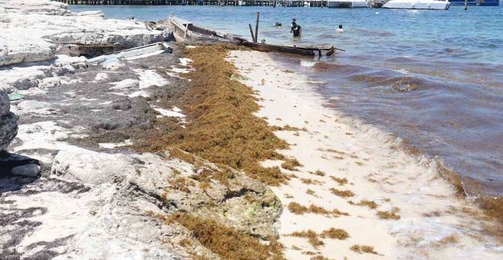 Especialistas alertan por acelerada erosión en playas de Quintana Roo; urgen plan integral para salvar arenales
